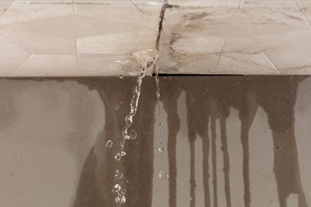 Professional Sewage Cleanup technician working in Olivia, MN